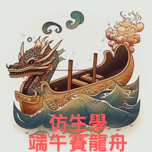 112年度6月份 仿生學-端午賽龍舟